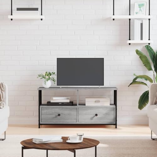 vidaXL Meuble TV Armoire de Télévision avec Tiroirs et Compartiments Moderne pour Salon en Bois d'Ingénierie et Fer Sono